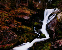 打爆别人手机号的软件