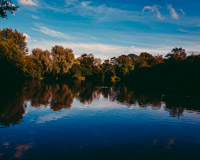 手机短信轰在线轰炸免费