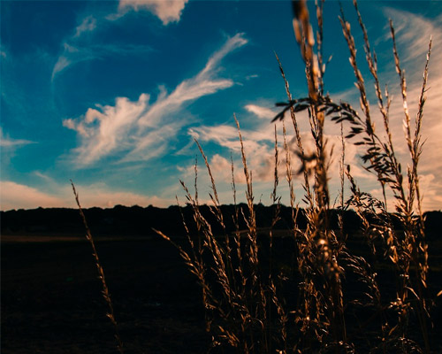 云呼网页版在线轰炸机