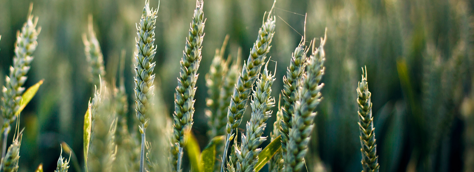 可以留电话的骚扰网站