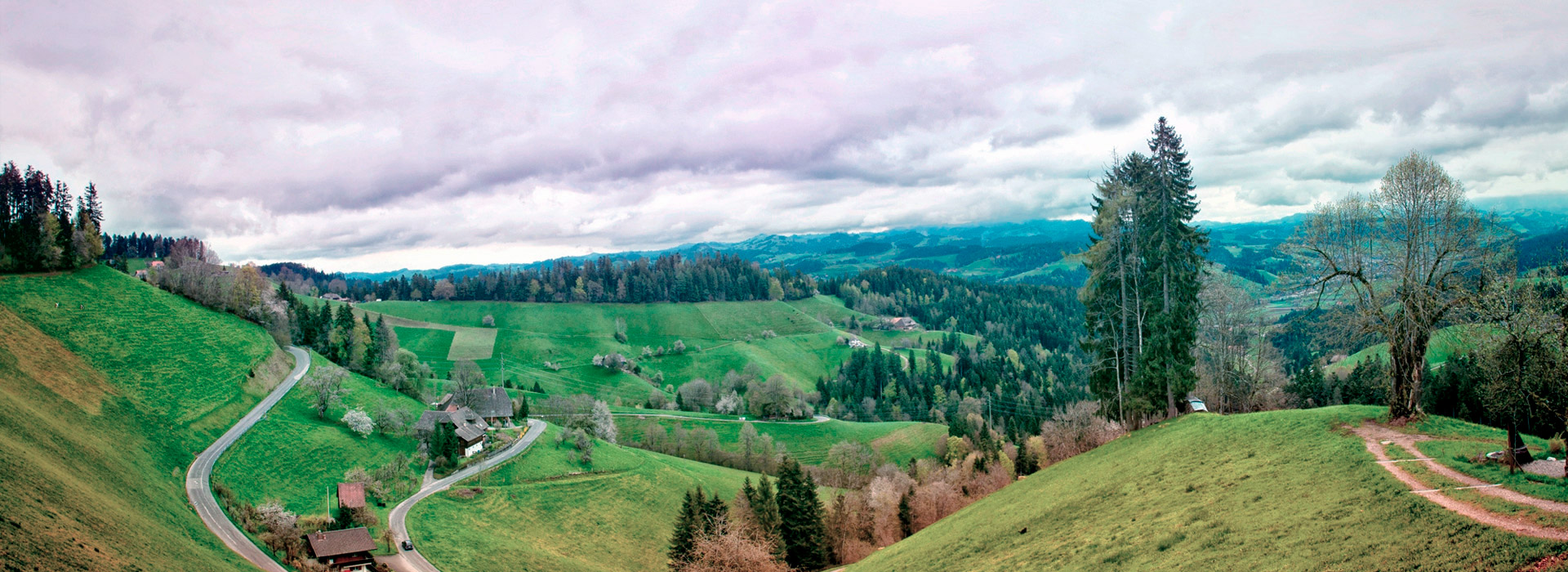 获取短信验证码平台